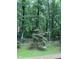 Beautifully landscaped backyard with lovely Japanese Maple tree and wooded background at 306 Fincastle Dr, Cary, NC 27513