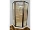 Bathroom shower with bronze frame, glass paneling, and a round mirror above sink at 306 Fincastle Dr, Cary, NC 27513