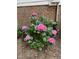 View of the gorgeous pink hydrangea bush in the garden at 306 Fincastle Dr, Cary, NC 27513