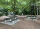 View of the playground and two picnic tables for homeowners at 306 Fincastle Dr, Cary, NC 27513