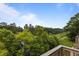 Balcony view of lush green trees and blue sky at 3077 Huntleigh Dr, Raleigh, NC 27604
