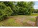 Expansive grassy backyard and natural surroundings create a serene outdoor setting at 325 Martin Luther King Jr Blvd, Raleigh, NC 27601
