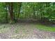 Forested lot with mature trees and natural ground cover, offering privacy and a serene setting at 4272 Boyd Wright Rd, Burlington, NC 27215