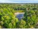 Tranquil aerial view of a pond surrounded by lush greenery and mature trees at 4705 Royal Troon Dr, Raleigh, NC 27604