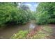 Scenic creek surrounded by lush greenery offering a private, natural setting at 4777 Helena Moriah Rd, Rougemont, NC 27572