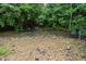 Rocky-bottom creek with gravel banks surrounded by a dense forest, offering a natural and tranquil setting at 4777 Helena Moriah Rd, Rougemont, NC 27572