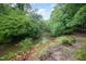 A serene creek surrounded by lush greenery and trees, providing a peaceful and natural ambiance at 4777 Helena Moriah Rd, Rougemont, NC 27572