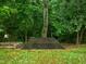 Picturesque backyard with a wooden platform, mature trees, and greenery at 552 Stobhill Ln, Holly Springs, NC 27540