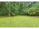 Expansive green backyard featuring a well-maintained lawn and bordering mature trees, creating a private oasis at 6617 Whitted Rd, Fuquay Varina, NC 27526