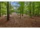 Spacious and private backyard surrounded by lush greenery, with a home in the distance at 102 Mel Oak Dr, Chapel Hill, NC 27516