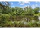 Scenic pond surrounded by lush greenery, creating a tranquil and natural setting at 102 Mel Oak Dr, Chapel Hill, NC 27516