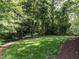 Well-maintained backyard with lush green grass and mature trees providing ample shade and privacy at 2303 Byrd St, Raleigh, NC 27608