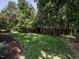 Gorgeous backyard featuring green grass, mature trees, and landscaping at 2303 Byrd St, Raleigh, NC 27608