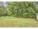 A wide-open backyard with storage shed, surrounded by mature trees at 2418 Highland Ave, Durham, NC 27704