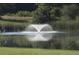 Photo of pond with fountain at 2744 Laurelcherry St, Raleigh, NC 27612