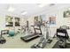 Well-equipped fitness center with modern exercise machines and natural light at 301 Presque Isle Ln, Chapel Hill, NC 27514