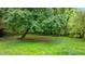 Backyard view, showcasing a lush green lawn and an old, mature tree at 3803 Jonesville Rd, Wake Forest, NC 27587
