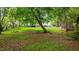 Backyard of house with beautiful mature trees and view of chicken coop at 3803 Jonesville Rd, Wake Forest, NC 27587