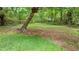 Serene backyard featuring mature trees, custom lighting, and lush surroundings at 3803 Jonesville Rd, Wake Forest, NC 27587