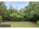 Serene backyard view with lush greenery and a black metal fence ensuring privacy at 707 Newlyn Dr, Raleigh, NC 27606