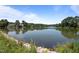 Scenic lake view with lush green trees reflecting on the water and a clear blue sky above at 71012 Russell, Chapel Hill, NC 27517