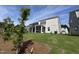 View of a home's backyard with a new tree and manicured lawn on a sunny day at 753 Swim Cave Ln, Wendell, NC 27591