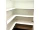Walk-in pantry boasts ample shelving for organized storage solutions at 1021 Benay Rd, Morrisville, NC 27560