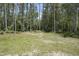 Secluded backyard space surrounded by lush greenery and mature trees offering privacy and natural beauty at 124 Teagarden Ct, Sanford, NC 27332