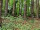 Mature trees and natural ground cover are home to local wildlife like deer at 1706 Rangecrest Rd, Raleigh, NC 27612