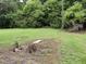 A large, grassy backyard with mature trees and shrubs at the property line at 1942 Brier Ln, Graham, NC 27253
