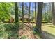 Traditional brick home with lush landscaping and mature trees, providing a peaceful and private setting at 3911 Hope Valley Rd, Durham, NC 27707