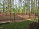 Backyard view showing a metal fence, green grass and an array of pine trees at 5028 Jowetts Walk Dr # 24, Cary, NC 27519