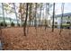 Large backyard with black fence and mature trees in a peaceful, residential setting with leaves covering the ground at 5028 Jowetts Walk Dr # 24, Cary, NC 27519