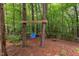 Backyard view of a wooden swing set between two mature trees surrounded by green foliage at 7 Hitching Rack Ct, Durham, NC 27713