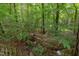 Beautiful wooded backyard with creek at 7 Hitching Rack Ct, Durham, NC 27713