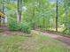 A grassy backyard bordered by a wooden fence and mature trees at 113 Bergeron Way, Cary, NC 27519