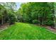 Lush green backyard featuring a well-maintained lawn, mature trees, and a glimpse of a screened-in porch at 1577 Tice Hurst Ln, Apex, NC 27502