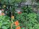 Landscaped backyard featuring a variety of colorful flowers and a black metal fence at 1633 Lakestone Village Ln, Fuquay Varina, NC 27526