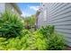 Landscaped sideyard with stepping stones and lush ferns lining the path to the gate and chimney at 1633 Lakestone Village Ln, Fuquay Varina, NC 27526