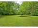 Expansive backyard featuring lush green grass and mature trees, perfect for outdoor activities at 3114 Alabama Ave, Durham, NC 27705