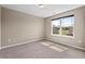 Well-lit bedroom with carpeted floors, a window view, and neutral-colored walls at 328 Avery Meadows Dr, Smithfield, NC 27577