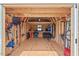 Organized shed interior with plywood walls, storage shelves, and various gardening tools at 328 Avery Meadows Dr, Smithfield, NC 27577