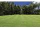Expansive green space great for relaxing with Gathering, and enjoying sports and recreation at 3632 Rail Overlook Dr, New Hill, NC 27562