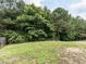 Backyard with greenery and trees at 4234 Offshore Dr, Raleigh, NC 27610