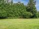 Expansive backyard view showing the fence line amid the lush green lawn and vibrant surrounding greenery at 8204 Charlbert Ct, Apex, NC 27539