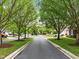Street view featuring mature trees lining the road with well-manicured lawns adding curb appeal at 103 Lake Tillery Dr, Cary, NC 27519
