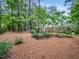 Spacious backyard featuring a garden area and mature trees for added privacy at 103 Lochwood West Dr, Cary, NC 27518