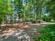 Picturesque backyard surrounded by mature trees, creating a private and serene environment at 103 Lochwood West Dr, Cary, NC 27518