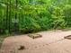 Expansive brick patio in wooded backyard setting with basketball hoop, ideal for recreation at 122 Blackcherry Ln, Chapel Hill, NC 27514