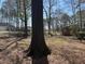 View of a large backyard with mature trees at 1310 Ray Ave, Sanford, NC 27330